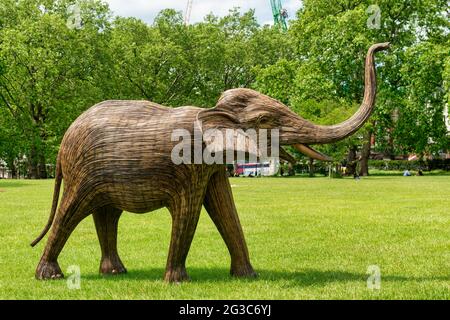 Londra, Regno Unito. 15 giugno 2021. Uno degli elefanti Lantana coesistenza in Green Park a Londra. Coesistenza in Green Park e St James's Park è una mostra di arte ambientale con 100 elefanti lantana a grandezza naturale che mira a far luce sul crescente invadimento degli esseri umani nei luoghi selvaggi. Credit: SOPA Images Limited/Alamy Live News Foto Stock