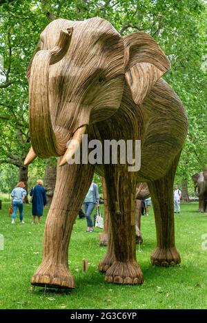 Londra, Regno Unito. 15 giugno 2021. Uno degli elefanti Lantana coesistenza in Green Park a Londra. Coesistenza in Green Park e St James's Park è una mostra di arte ambientale con 100 elefanti lantana a grandezza naturale che mira a far luce sul crescente invadimento degli esseri umani nei luoghi selvaggi. Credit: SOPA Images Limited/Alamy Live News Foto Stock