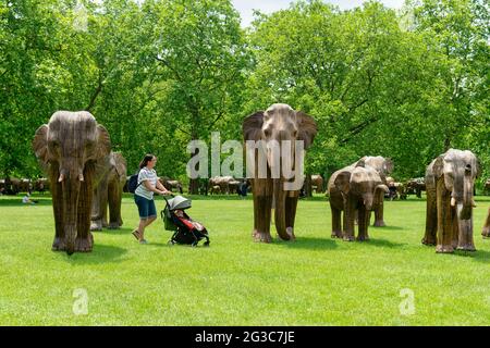 Londra, Regno Unito. 15 giugno 2021. Una donna che spinge un passeggino passa accanto agli elefanti Lantana coesistenza nel Green Park di Londra. La coesistenza nel Green Park e nel St James's Park è una mostra d'arte ambientale con 100 elefanti lantana a grandezza naturale che mira a far luce sul crescente invadimento degli esseri umani nei luoghi selvatici. (Foto di Dave Rushen/SOPA Images/Sipa USA) Credit: Sipa USA/Alamy Live News Foto Stock