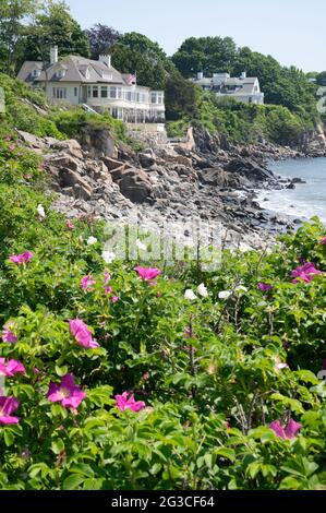 Spiaggia Plum Roses, di fronte alla York, Maine riva con case di paesaggio sullo sfondo, Stati Uniti Foto Stock