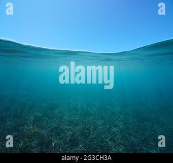 Cielo blu con erba marina sott'acqua, vista su e sotto la superficie dell'acqua, mare Mediterraneo Foto Stock