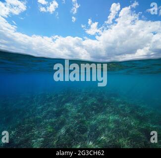 Mare con erba marina sott'acqua e cielo blu con nuvola, vista su e sotto la superficie dell'acqua, mare Mediterraneo Foto Stock
