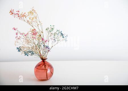 Fiori gypsophila colorati in vaso rosa su sfondo bianco con spazio per la copia. Bouquet di fiori secchi in fiore davanti alla parete bianca. Foto Stock