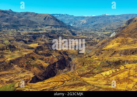 Paesaggio del Canyon del Colca in estate con terrazze agricole e fiume Colca, Arequipa, Perù. Foto Stock