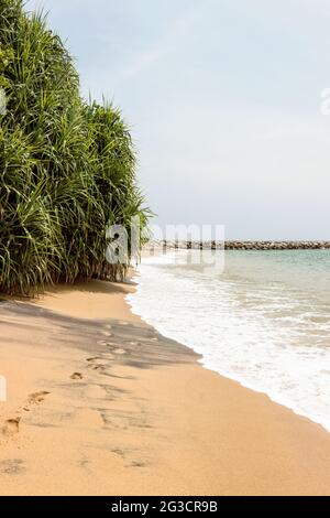 Sabbia colorata sulla spiaggia di Mirissa con onde oceaniche Foto Stock