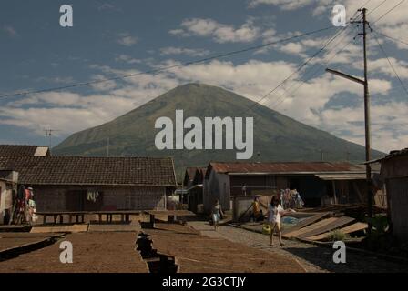 Villaggio di produzione di tabacco a Temanggung, Giava Centrale, Indonesia; sullo sfondo del Monte Sindoro. Con 197.25 mila tonnellate metriche, l'Indonesia è al sesto posto nella lista dei principali paesi produttori di tabacco nel 2019--sotto la Cina, l'India, il Brasile, lo Zimbabwe e gli Stati Uniti, Secondo Statista. "Circa sei milioni di persone si sono affidate al tabacco per sostentamento", ha affermato Budidoyo, capo di AMTI (alleanza della società del tabacco in Indonesia), citato dalla CNBC Indonesia il 10 giugno 2021. Foto Stock