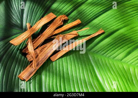 Corteccia medicinale di Uncaria tomentosa - pianta amazzonica Foto Stock