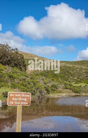 Drakes estero è un estuario esteso nel Point Reyes National Seashore della contea di Marin, sulla costa pacifica della California settentrionale, negli Stati Uniti Foto Stock