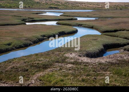 Drakes estero è un estuario esteso nel Point Reyes National Seashore della contea di Marin, sulla costa pacifica della California settentrionale, negli Stati Uniti Foto Stock