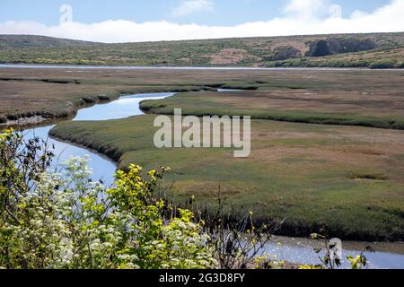 Drakes estero è un estuario esteso nel Point Reyes National Seashore della contea di Marin, sulla costa pacifica della California settentrionale, negli Stati Uniti Foto Stock