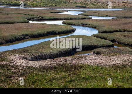 Drakes estero è un estuario esteso nel Point Reyes National Seashore della contea di Marin, sulla costa pacifica della California settentrionale, negli Stati Uniti Foto Stock