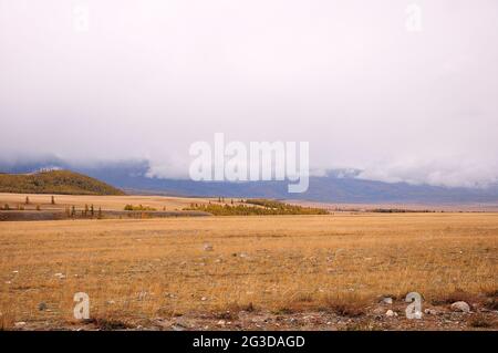 Ammira la steppa collinare in autunno con rari alberi di conifere ai piedi delle montagne innevate con le cime delle nuvole. Kuraiskaya steppa, Alt Foto Stock