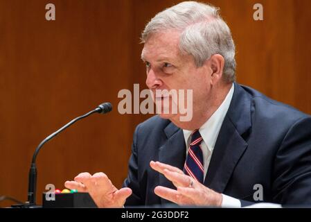 Il Segretario del Dipartimento dell'Agricoltura degli Stati Uniti Tom Vilsack appare davanti ad una Commissione del Senato sulle Stanziamenti - sottocommissione sull'Agricoltura, lo sviluppo rurale, l'alimentazione e la gestione della droga, E agenzie correlate che si sono sentite per esaminare le stime di bilancio proposte e la giustificazione per l'anno fiscale 2022 per il Dipartimento dell'Agricoltura, nell'edificio degli uffici del Senato Dirksen a Washington, DC, martedì 15 giugno 2021. Credito: Rod Lammey/CNP /MediaPunch Foto Stock