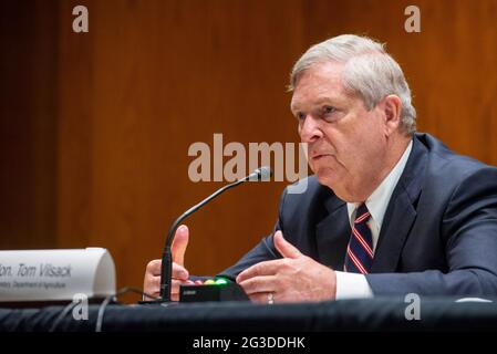 Il Segretario del Dipartimento dell'Agricoltura degli Stati Uniti Tom Vilsack appare davanti ad una Commissione del Senato sulle Stanziamenti - sottocommissione sull'Agricoltura, lo sviluppo rurale, l'alimentazione e la gestione della droga, E agenzie correlate che si sono sentite per esaminare le stime di bilancio proposte e la giustificazione per l'anno fiscale 2022 per il Dipartimento dell'Agricoltura, nell'edificio degli uffici del Senato Dirksen a Washington, DC, martedì 15 giugno 2021. Credito: Rod Lammey/CNP /MediaPunch Foto Stock