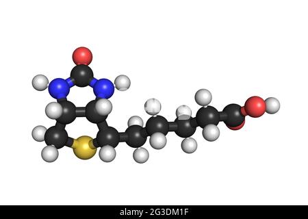 La molecola di vitamina B7 biotina 3D rende la struttura chimica Foto Stock