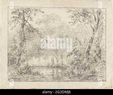 Foresta faccia con stagno. . Foto Stock