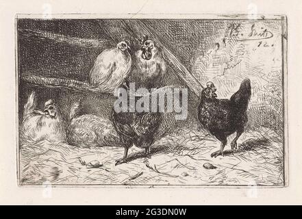 Rooster e cinque polli in un loft. Rooster e cinque polli in un loft. Due sono sul bastone. Due polli neri si graffiano intorno, gli altri due sono sul pavimento. Foto Stock