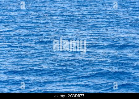 Superficie blu del mare con onde. Sfondo di acque di mare calme. Foto Stock