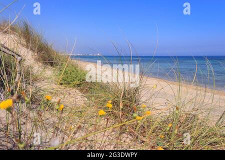 Spiaggia di Torre Canne in Puglia: In lontananza il faro bianco della città di Torre Canne. Foto Stock