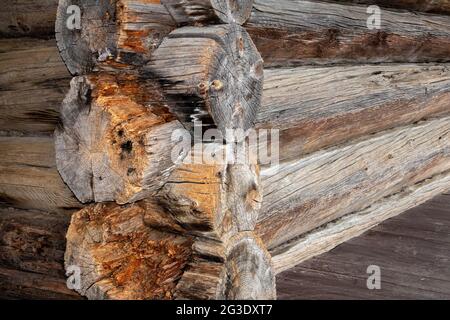 Angolo di connessione di tronchi in architettura russa tradizionale di case di campagna Foto Stock