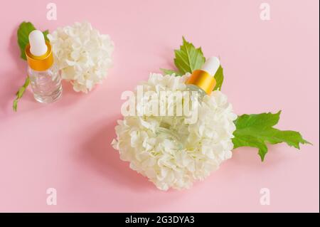 Due flaconi contagocce in vetro per uso medico e cosmetico e fiori teneri bianchi su fondo rosa chiaro. Cura della pelle e concetto SPA Foto Stock