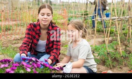 Famiglia amichevole che lavora insieme sul giardino del cortile Foto Stock