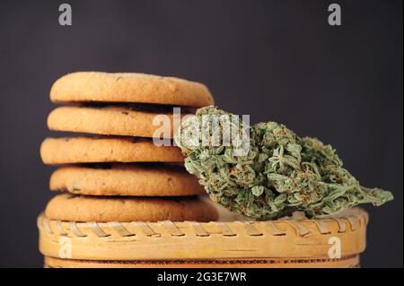 Dolci con olio CBD. Gemme di marijuana su sfondo nero. Primo piano fiori di cannabis e biscotti al cioccolato. Foto Stock