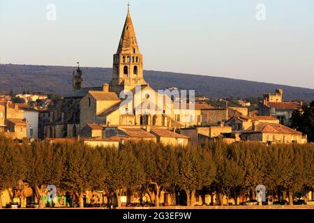 FRANCIA. ARDECHE (07) BOURG SAINT ANDEOL, CAMPANILE E CAPEZZALE SANTO DELLA CHIESA ANDEOL, IL VILLAGGIO, SIEPI PLATANI Foto Stock