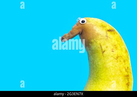 Primo piano di un simpatico personaggio di pera con un naso grande e occhi d'oca isolati su sfondo blu. Foto Stock