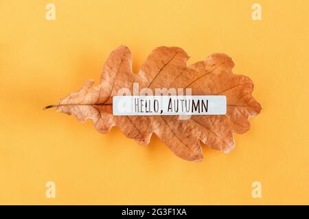 Ciao testo autunno e foglia di quercia su sfondo giallo. Vista dall'alto disposizione piatta stile minimal. Concept Benvenuto autunno. Biglietto d'auguri. Foto Stock