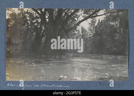 Alberi e laghetto nel giardino botanico nazionale. Parte dell'album di viaggio con fotografie di attività e di attrazioni turistiche su Sumatra e Java e dal viaggio da e per le Indie Orientali olandesi. Foto Stock