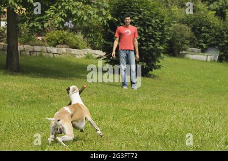 Uomo che gioca con il cane in giardino Foto Stock