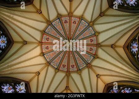 Intricato dettaglio del soffitto a volta della Chapter House, parte della Cattedrale di York Minster, York, Inghilterra Foto Stock