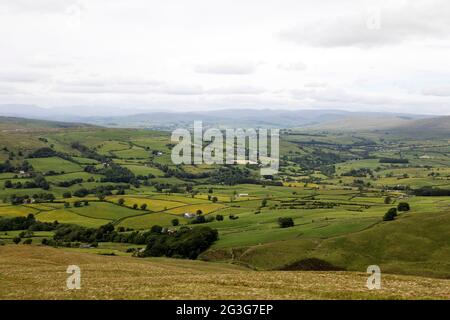 Campi intorno alla città di Sedbergh in Cumbria, Inghilterra. Sedbergh si trova nello Yorkshire Dales National Park. Foto Stock