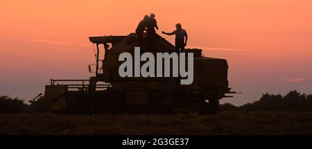 Silhouette1984 archivio vista di un agricoltore e compagni di lavoro che riparano una rottura su mietitrebbiatrice bloccata in campo di grano agricolo anni 80 tempo di raccolto con gli uomini che lavorano tardi sulla macchina per riavviare la raccolta in prima sera tramonto tramonto cielo in 80 archiviazione fattoria immagine Essex Campagna Inghilterra UK Foto Stock