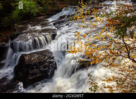 Shohola Falls lungo Shohola Creek in Pennsylvania Pocono Mountains ha numerose cascate prima di cadere gli ultimi 50 metri nella piscina principale. Foto Stock