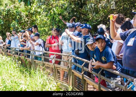 IGUAZU, ARGENTINA - 6 FEBBRAIO 2015: I turisti ammirano le cascate di Iguacu (Iguazu) su un confine tra Brasile e Argentina Foto Stock