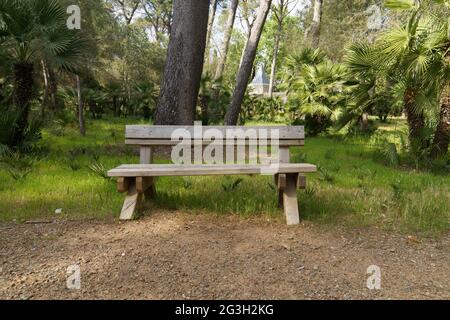 Vecchia panchina in un parco tropicale Foto Stock