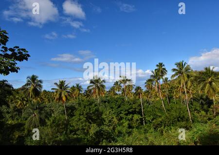 Saint Vincent e Grenadine Foto Stock