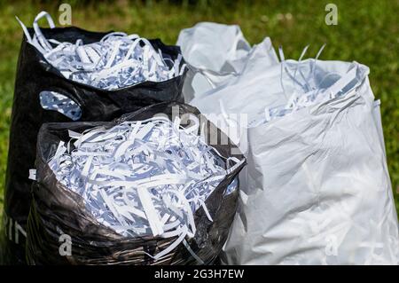 Mani che mostrano un mucchio di carta grattugiata. Concetto di riciclaggio e lavoro d'ufficio di confidenziale. Foto Stock