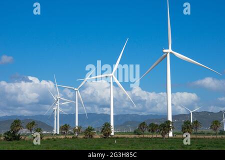 Un'azienda eolica a Porto Rico che produce energia pulita e rinnovabile. Spazio di copia. Foto Stock