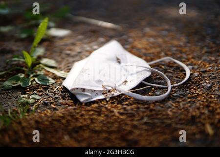 Inquinamento ambientale con maschera FFP2 monouso Foto Stock