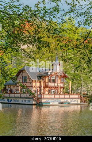 Castello di Swan al Kreuzteich nel Parco Albert di Freiberg, Sassonia, Germania Foto Stock