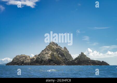 Little Skellig un'isola rocciosa sull'Oceano Atlantico vicino alla costa irlandese, habitat per migliaia di uccelli marini Gannet, Morus Bassanus, Ring of Kerry, Irlanda Foto Stock