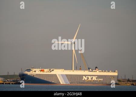 Trasporto di grandi volumi di auto al porto di Sheerness, Kent, al tramonto Foto Stock