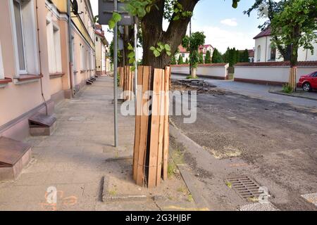 Protezione degli alberi durante il rinnovo della strada in città. Ambiente. Foto Stock