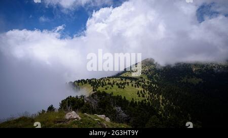 La catena montuosa dell'Ensija vista dalla vetta del Serrat Voltor (Berguedà, Catalogna, Spagna, Pirenei) ESP: Vista de la Serra de Ensija desde el Serrat Voltor Foto Stock