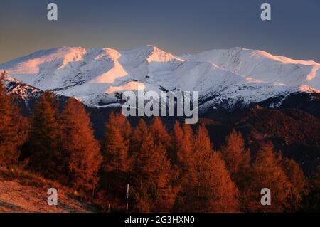 Alba nel massiccio innevato del Canigou, visto dal Colle d'Ares (Vallespir, Pyrenees-Orientales, Francia) ESP: Amanecer en el macizo del Canigó nevado Foto Stock