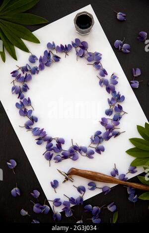 Modello per una lettera calligrafica con fiori di lupino, penna e inchiostro Foto Stock