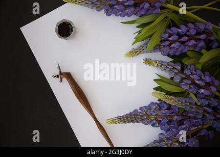 Modello per una lettera calligrafica con fiori di lupino, penna e inchiostro Foto Stock